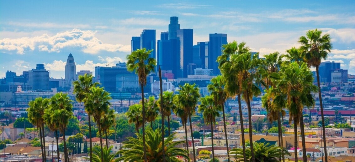 LA OKs Reopening Protocols For Lower-Risk Businesses, While Most Safer-At-Home Directives Persist